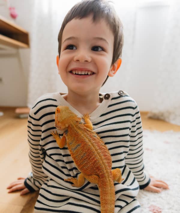 Little boy and his pet lizard