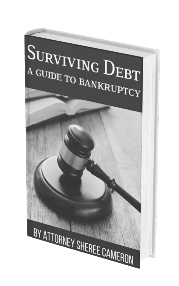 surviving debt book